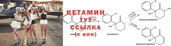 твердый Пересвет