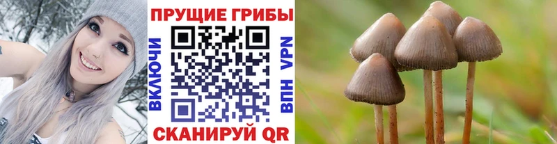 Галлюциногенные грибы мицелий Солнечногорск