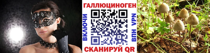 как найти закладки Солнечногорск Галлюциногенные грибы мицелий
