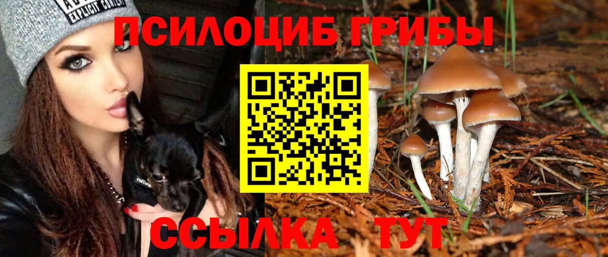Галлюциногенные грибы ЛСД  Галлюциногенные грибы Psilocybe  купить   Вход с VPN  Солнечногорск 