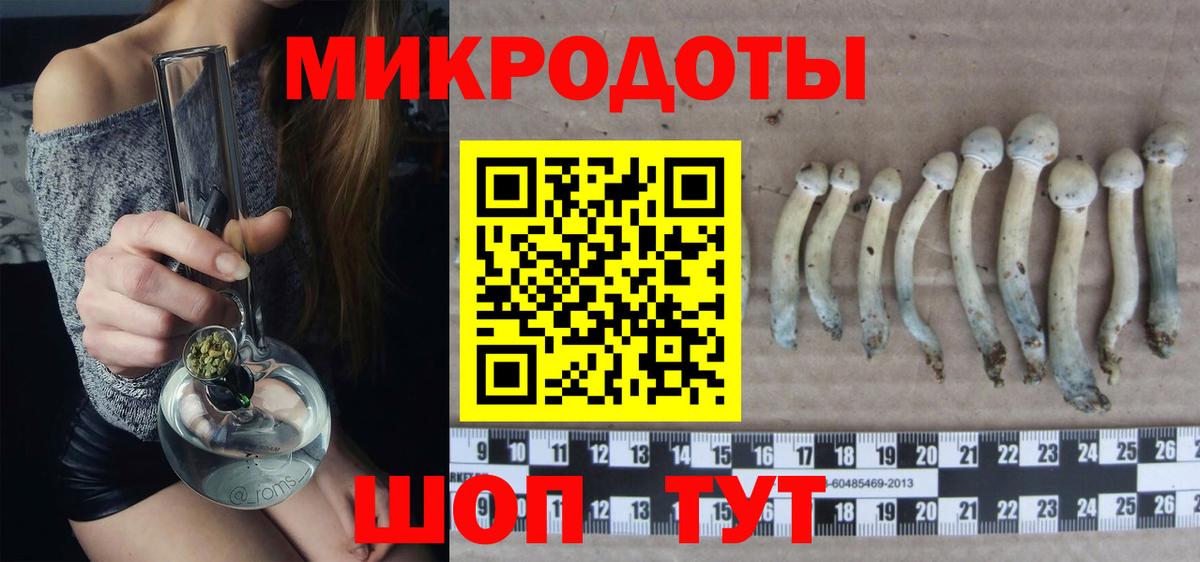 Псилоцибиновые грибы Cubensis Солнечногорск